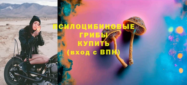 ешки Иннополис