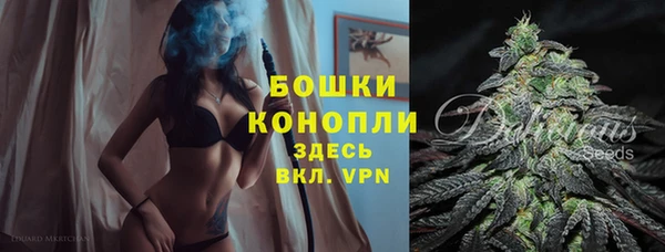 ешки Иннополис