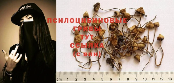 мяу мяу мука Инсар