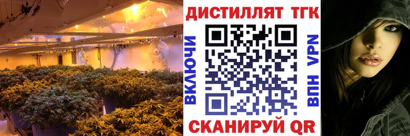 Купить  Грозный  Дистиллят ТГК гашишное масло 