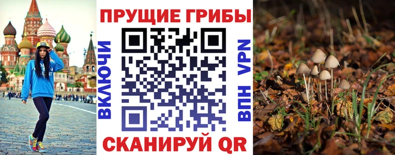 Купить где  Грозный  Галлюциногенные грибы мухоморы 
